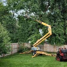 Trusted North Hudson, WI Tree Services Experts